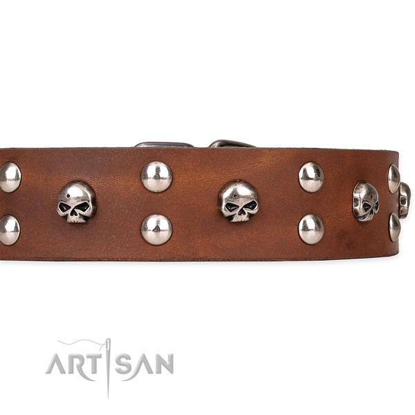 Full grain natural leather dog collar with worked out leather strap