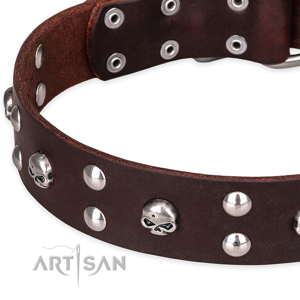 Casual leather dog collar with stunning studs