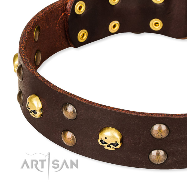 High quality leather dog collar for walking