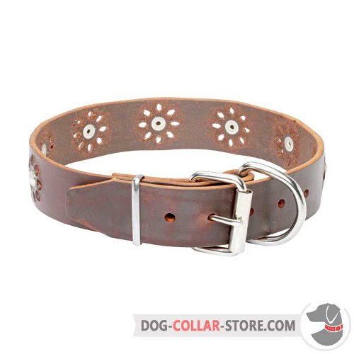 Leather Dog Collar designed for walking in style