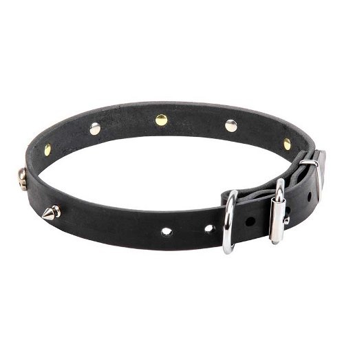 Leather Dog Collar designed for walking small breeds