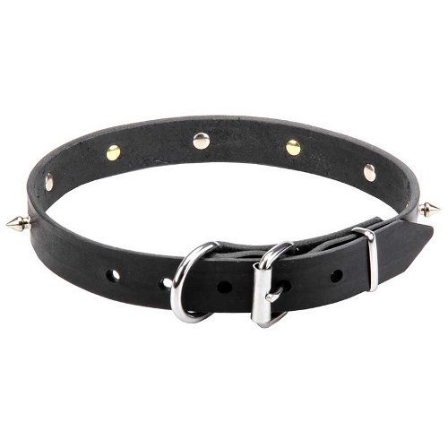 Leather Dog Collar of fashionable design