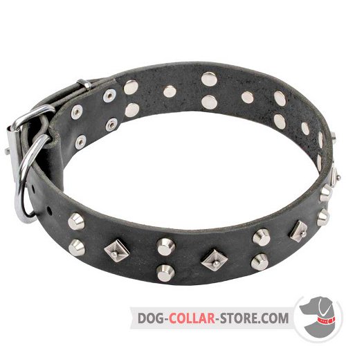 Leather Dog Collar of sophisticated design