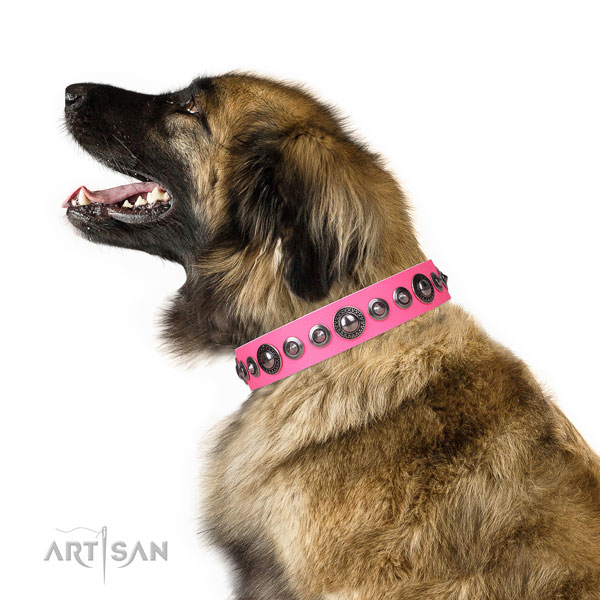 Stunning embellished natural leather dog collar for stylish walking