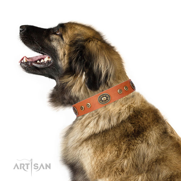 Inimitable decorated genuine leather dog collar for handy use