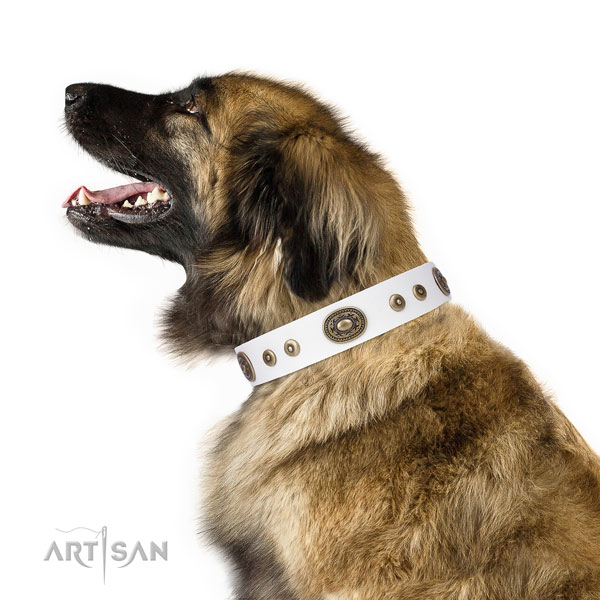 Unusual adorned natural leather dog collar for comfortable wearing
