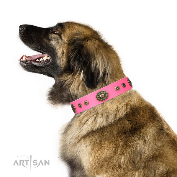 Stunning decorated natural leather dog collar for stylish walking
