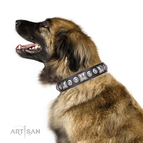 Stunning embellished genuine leather dog collar for walking