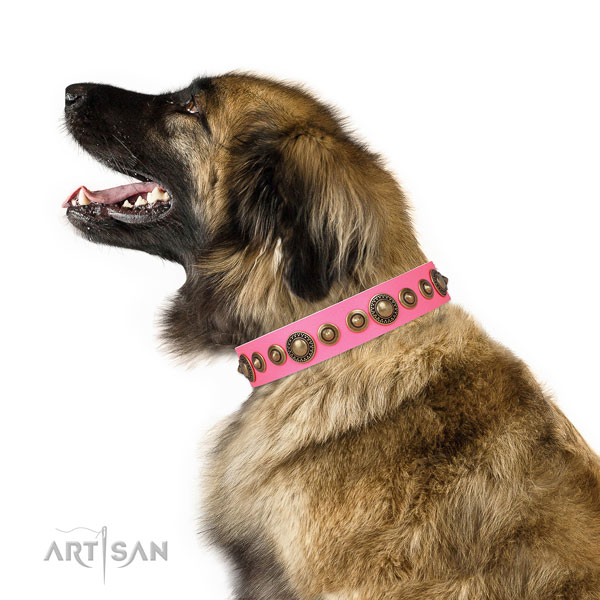 Rust resistant buckle and D-ring on leather dog collar for everyday use