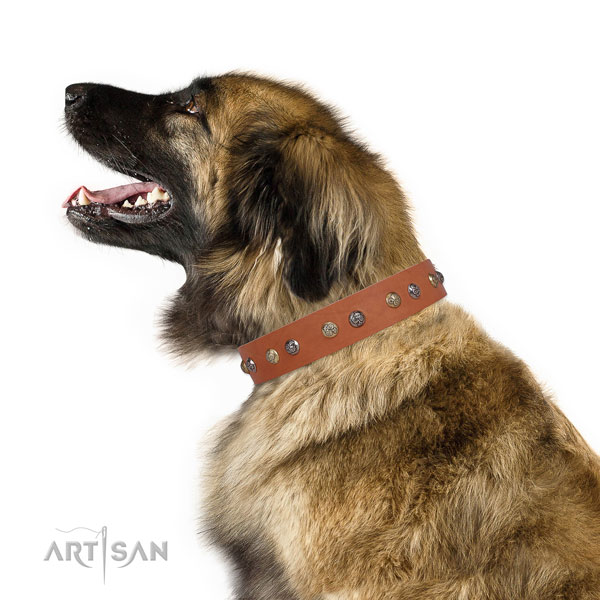 Natural leather dog collar with durable buckle and D-ring for daily walking