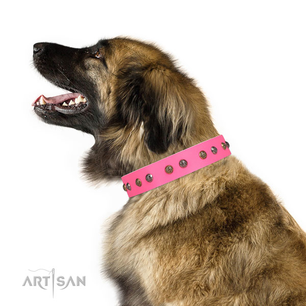 Easy wearing adorned dog collar made of strong genuine leather