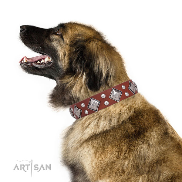 Handy use decorated dog collar made of strong natural leather