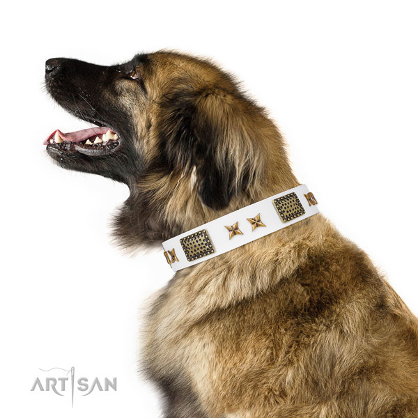 Trendy decorations on comfy wearing full grain leather dog collar