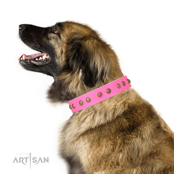 Fashionable adornments on daily use full grain natural leather dog collar