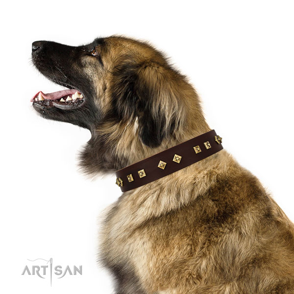 Stylish decorations on daily walking full grain natural leather dog collar