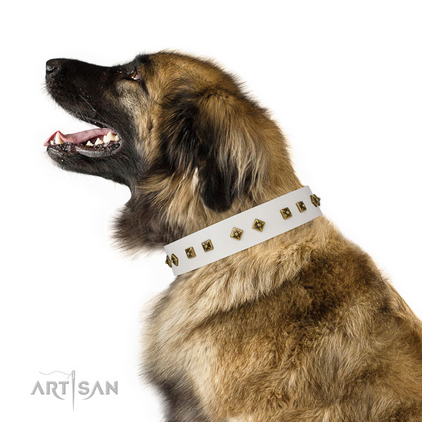 Stunning adornments on comfy wearing dog collar