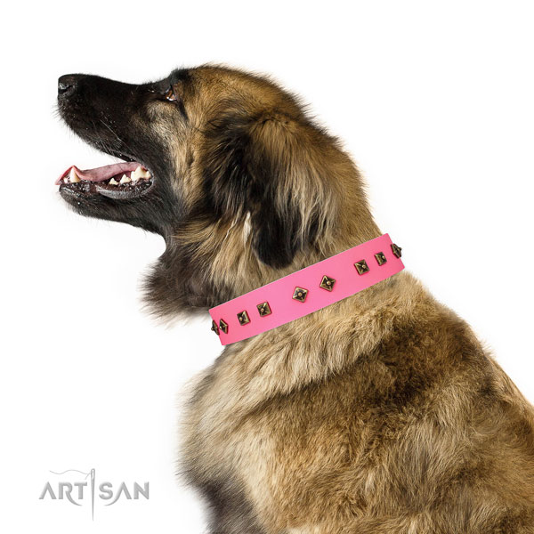 Designer embellishments on easy wearing dog collar