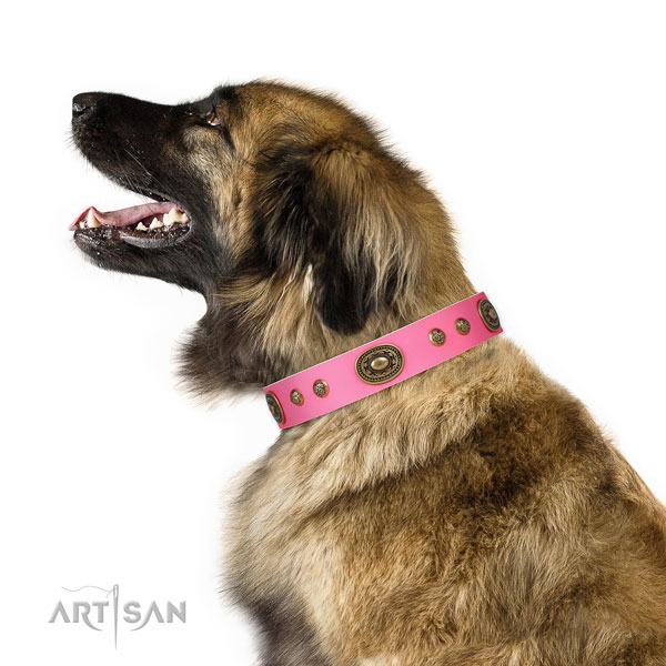 Unique studs on handy use dog collar