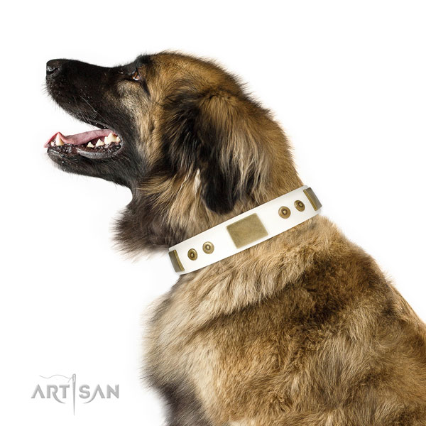 Reliable everyday use dog collar of genuine leather