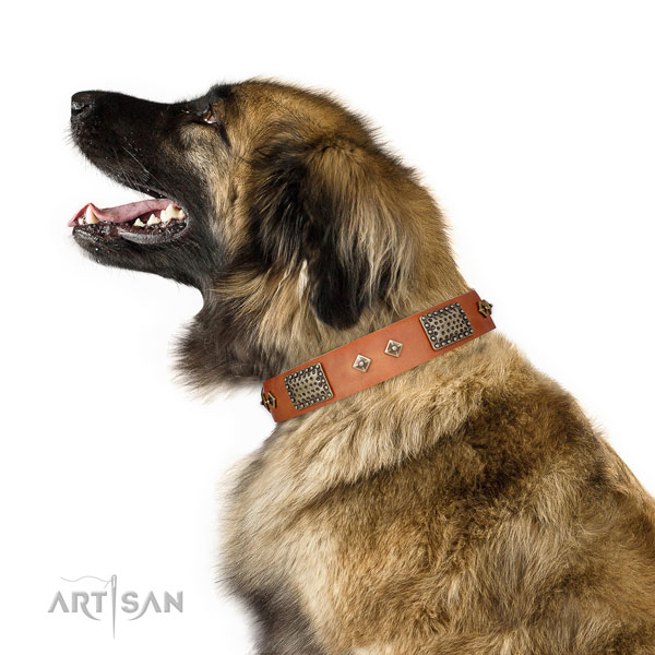 Daily use dog collar of genuine leather with fashionable decorations