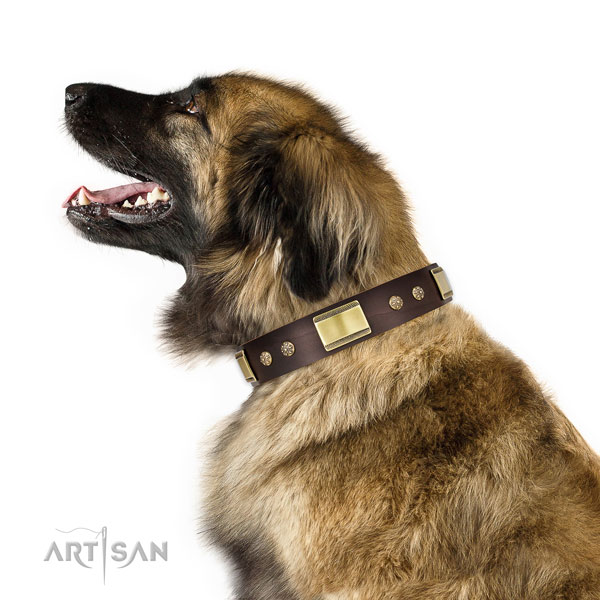 Everyday use dog collar of genuine leather with top notch studs