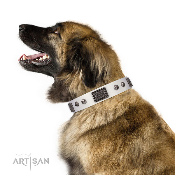 Incredible full grain leather collar for your beautiful doggie