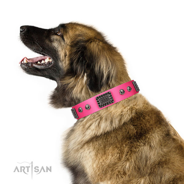 Top quality genuine leather collar for your attractive pet