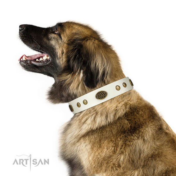 Reliable fittings on leather dog collar for stylish walking