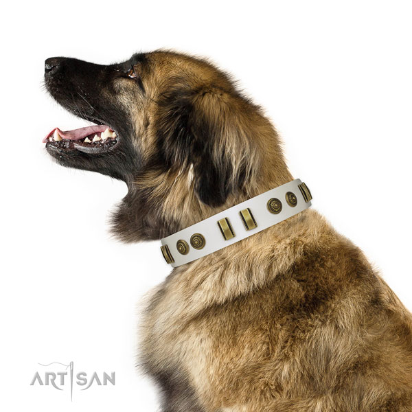 Daily walking dog collar of genuine leather with impressive studs