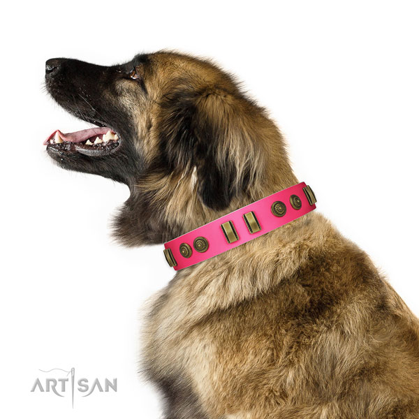 Daily walking dog collar of leather with designer adornments