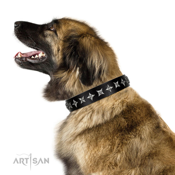 Daily use decorated dog collar of finest quality leather