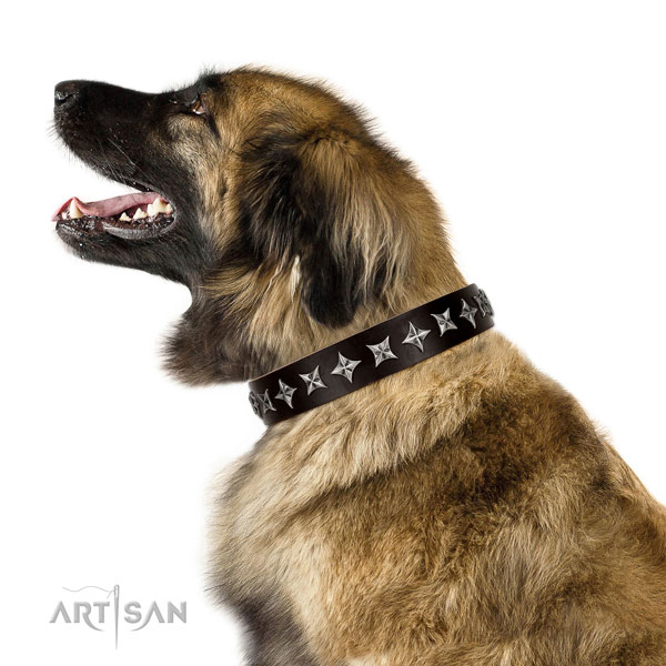 Everyday walking embellished dog collar of top notch genuine leather