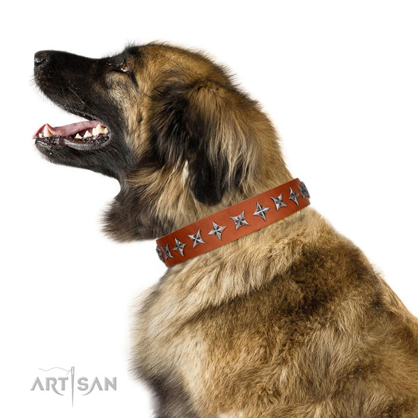 Strong full grain natural leather dog collar with inimitable decorations