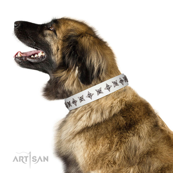 Durable leather dog collar with trendy studs
