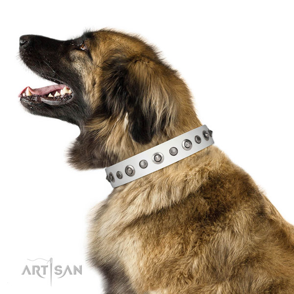 Full grain natural leather collar with corrosion resistant D-ring for your lovely canine