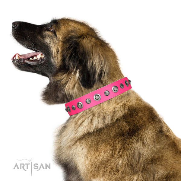 Genuine leather collar with reliable D-ring for your beautiful doggie