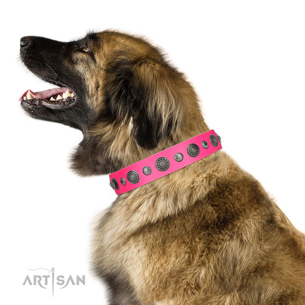 Fashionable Full grain natural leather dog collar with rust-proof buckle