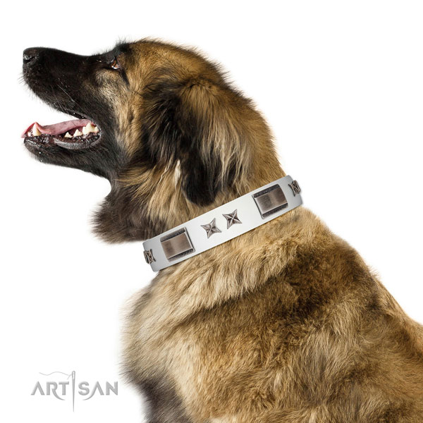 Inimitable collar of full grain natural leather for your attractive canine