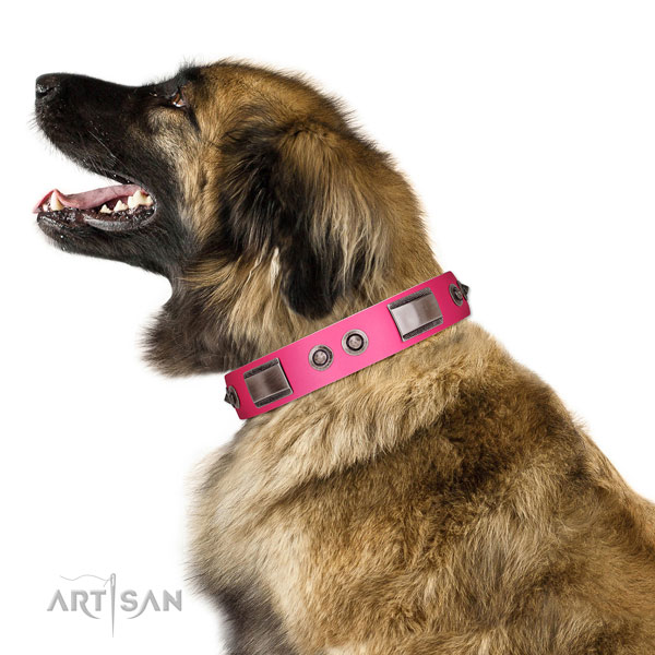 Designer leather dog collar with studs
