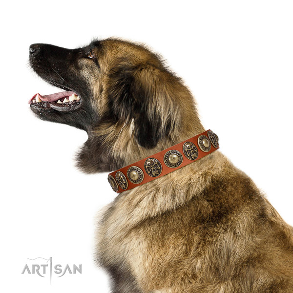 Stylish design leather collar for your stylish pet