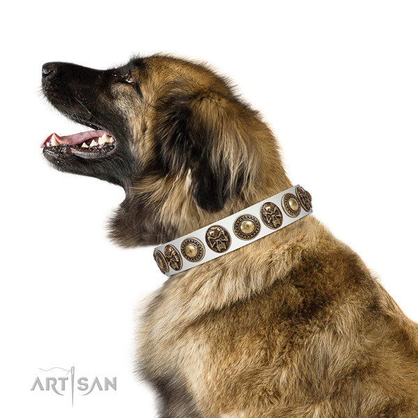 Incredible full grain leather collar for your beautiful doggie
