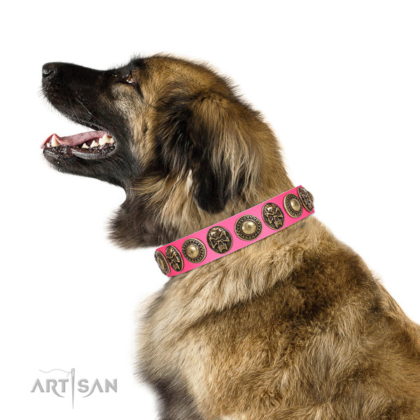 Top quality genuine leather collar for your attractive pet