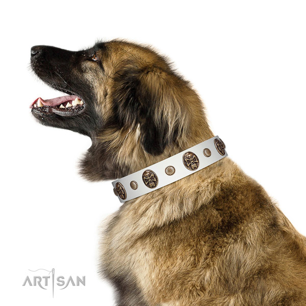 Comfortable dog collar created for your impressive dog