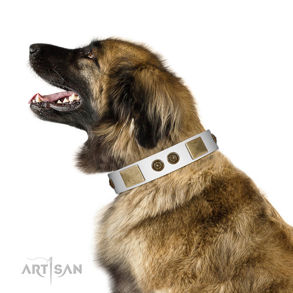 Incredible dog collar handmade for your impressive four-legged friend