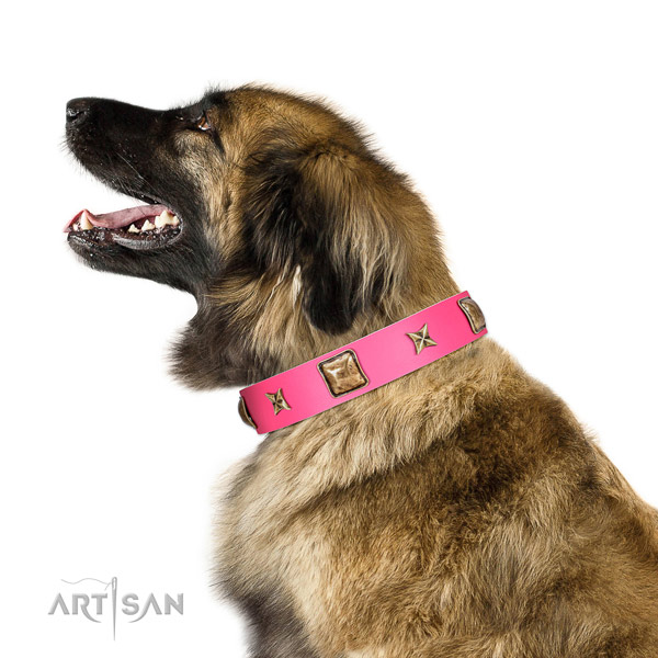 Full grain genuine leather dog collar of top rate material with unique studs