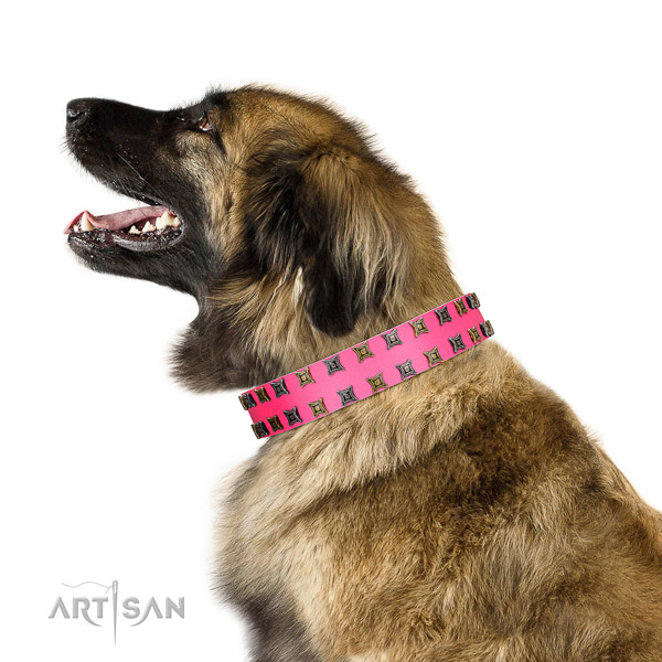 Top notch natural leather dog collar with embellishments for your four-legged friend