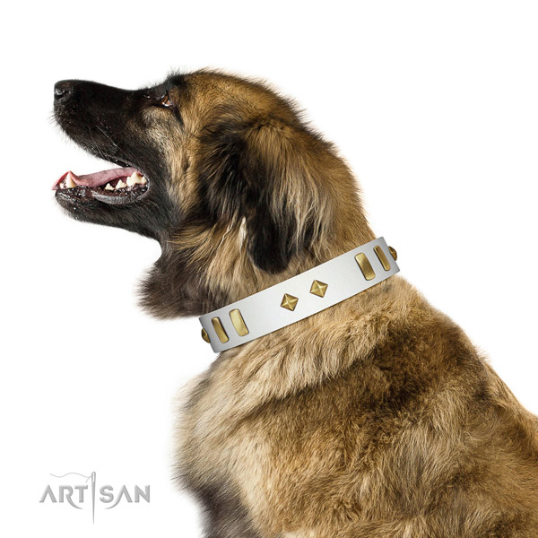 Everyday walking best quality genuine leather dog collar with decorations