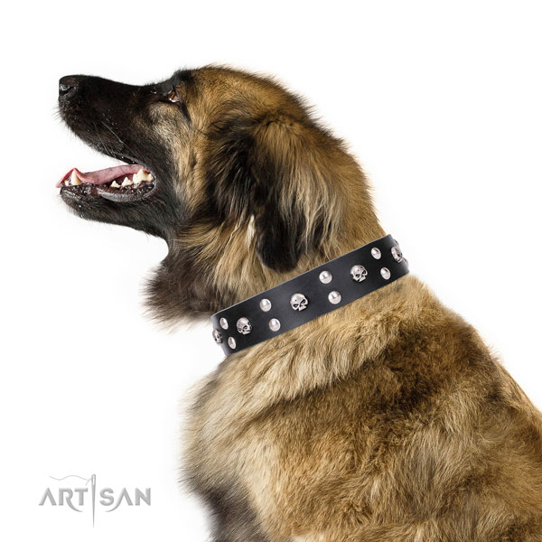 Leonberger full grain natural leather dog collar for fancy walking