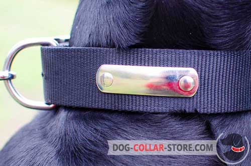 Metal Name Tag on Practical Two Ply Nylon Dog Collar