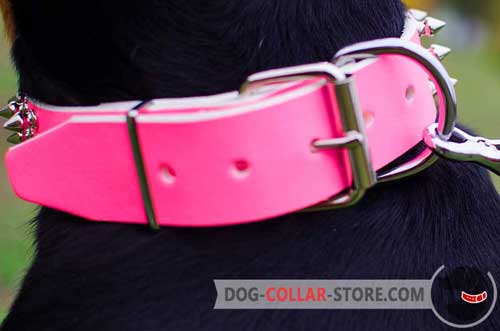 Nickel Plated D-Ring on Leather Dog Collar